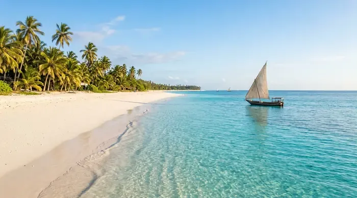 Sunset Dhow Sailing Cruise